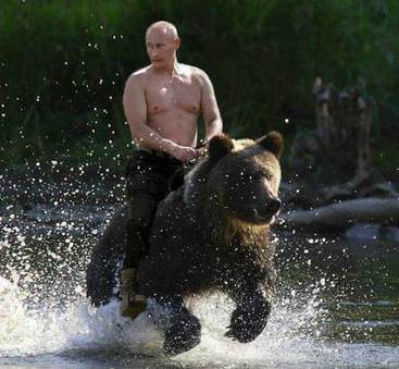 Vladimir Putin riding a bear